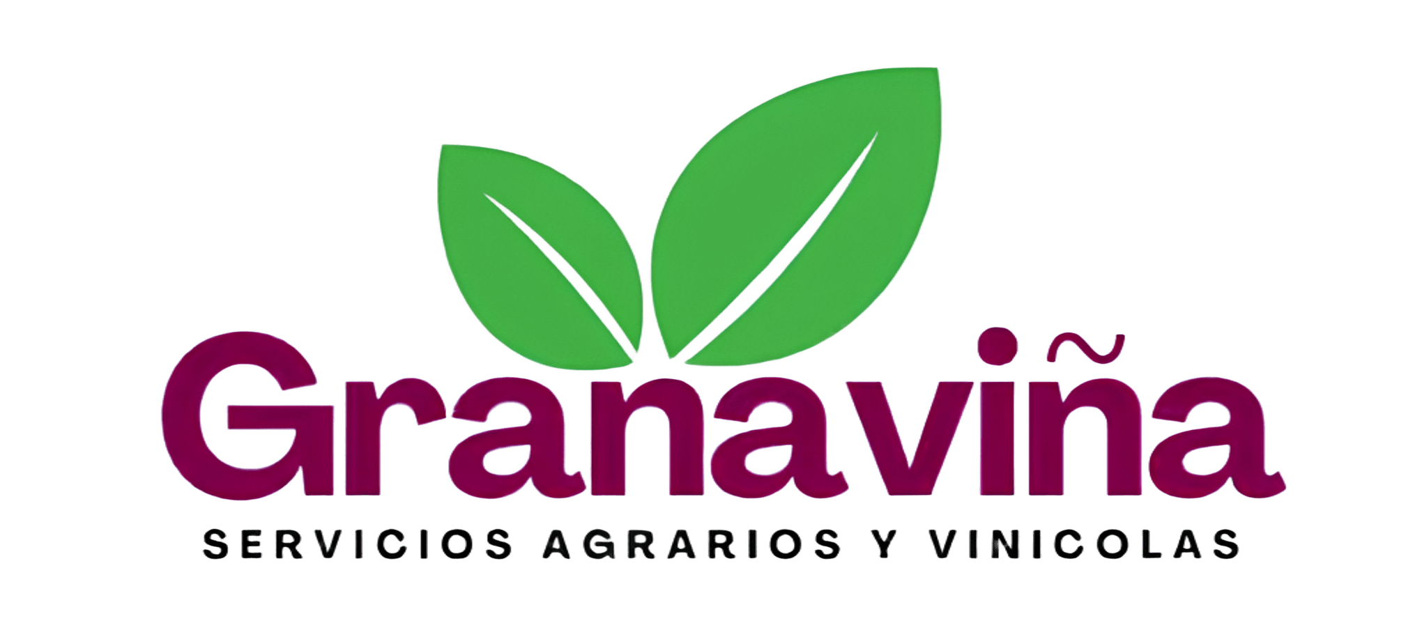 Granaviña